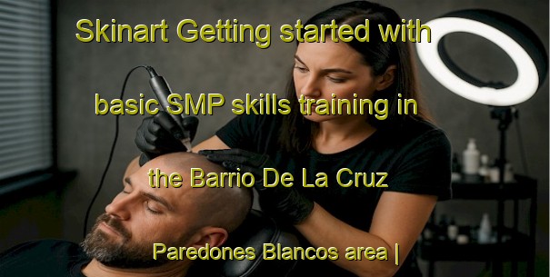 Skinart Getting started with basic SMP skills training in the Barrio De La Cruz  Paredones Blancos area | SmpTraining | SmpClasses | SkinartTraining-Mexico
